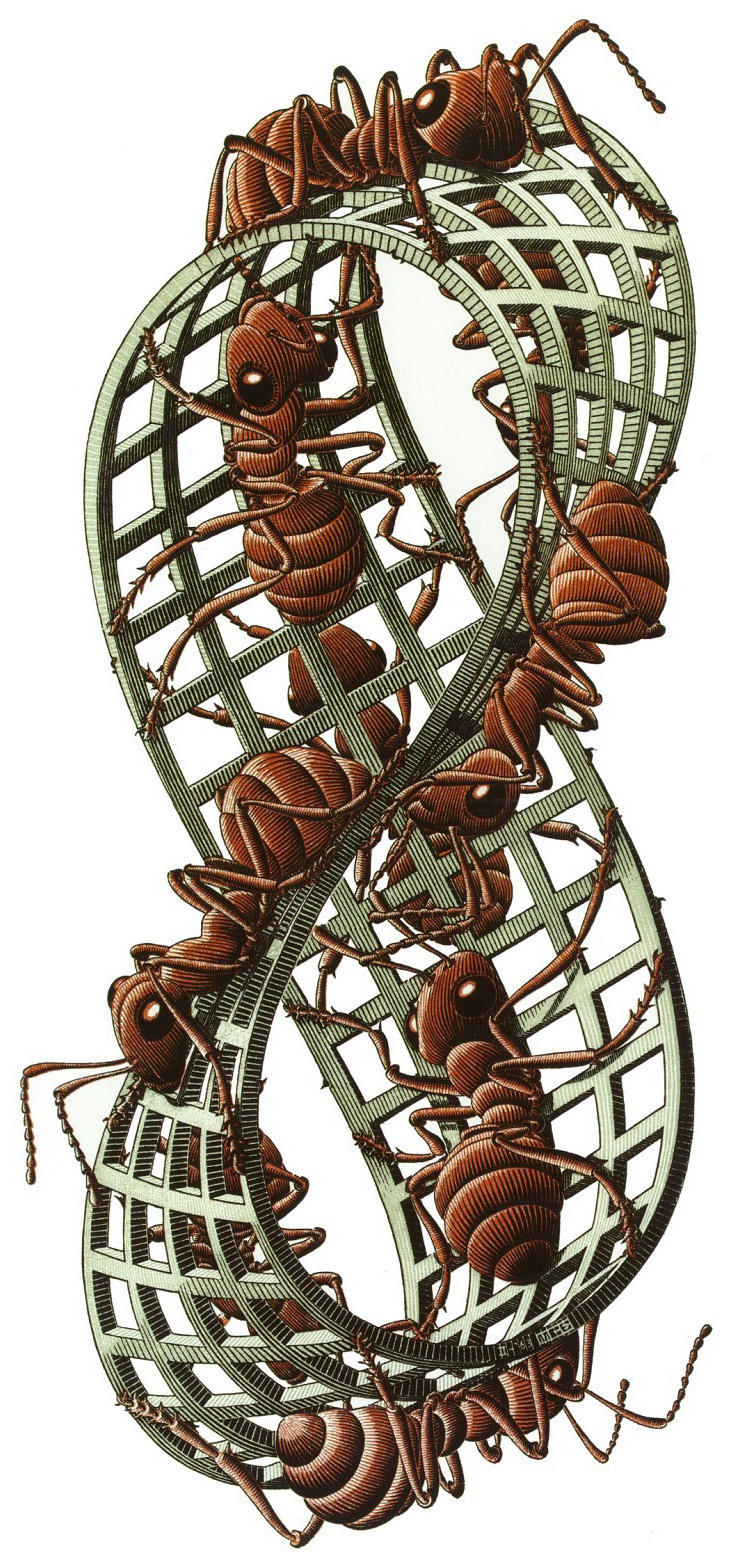 escher_ants